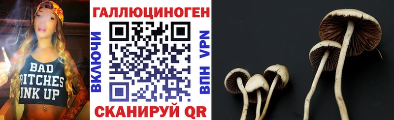 Псилоцибиновые грибы мицелий маркетплейс официальный сайт Кохма